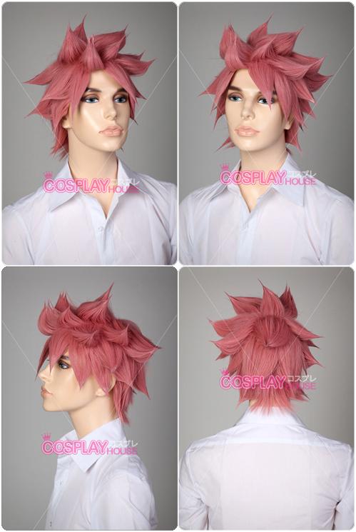 Natsu Dragneel Cosplay Wig ...
