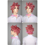 Natsu Dragneel Cosplay Wig ...