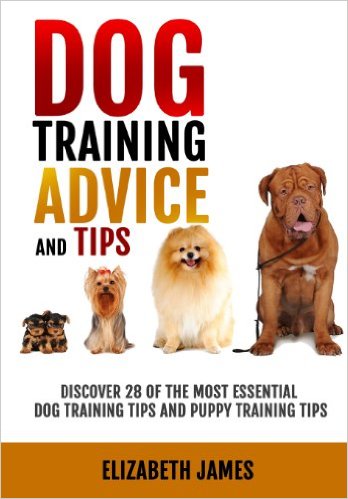 Dog Training Advice and Tip...