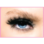 Glam Eyelash Extensions Little Rock, AR 72223