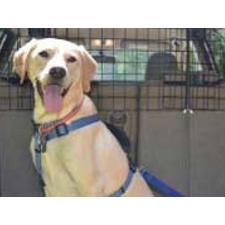 Pet Friendly Hotels for Dogs and Cats | TripsWithPets.com