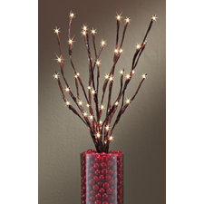 Battery-Operated Lighted Willow Branch Instantly create a magical effect anywhere in your home.
