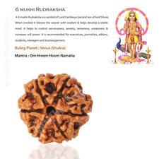 6 Mukhi Rudraksha | Six Mukhi Rudraksha Beads | 6 Mukhi Rudraksha For Mars