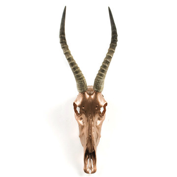 Fab.com | Blesbok Skull Copper