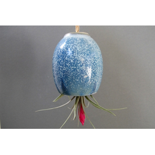 LARGE hanging air plant pod planter vase - Stunning Ice Blue from mudpuppy