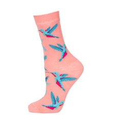 Coral Hummingbird Ankle Socks