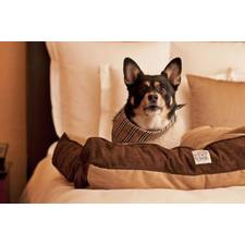 Grand Hyatt Atlanta In Buckhead - Hotel Pet Policy