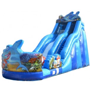 Shark Water Slide
