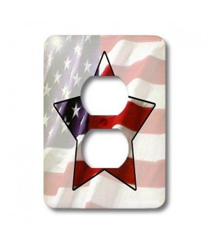 3dRose lsp_12150_6 American...
