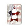 3dRose lsp_12150_6 American Flag Star 2 Plug Outlet Cover