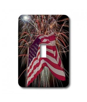 3dRose lsp_14246_1 Firework...