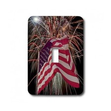 3dRose lsp_14246_1 Fireworks And American Flag Single Toggle Switch