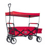 Folding Sport Wagon