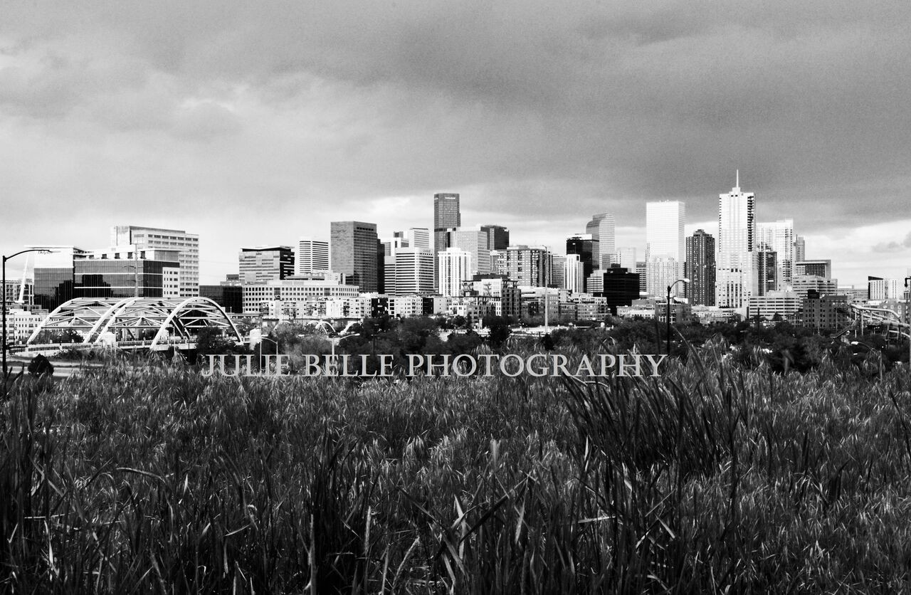 Denver Skyline Black and Wh...