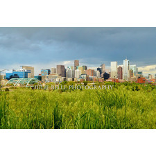 Denver Skyline Photograph from Colorado Photographer