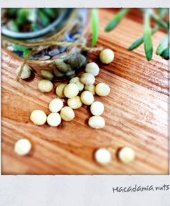 macadamia