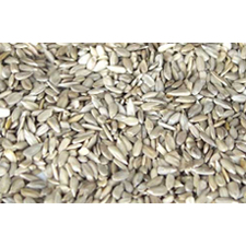 organic-sunflower-seeds-500g