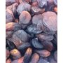 organic-apricots-1kg