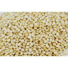 organic-white-quinoa-1kg