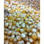 organic-popcorn-kernels-1kg