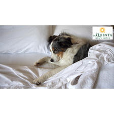 La Quinta Inn San Diego Mission Valley - Hotel Pet Policy