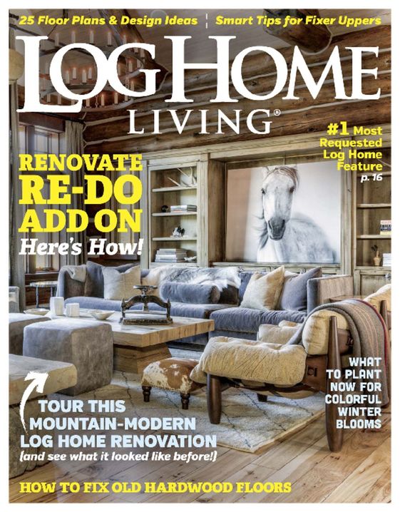 Buy Log Home Living Magazin...
