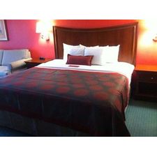 Ramada Raleigh - Hotel Pet Policy