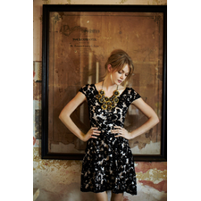 Jardim Lace Dress - Anthropologie