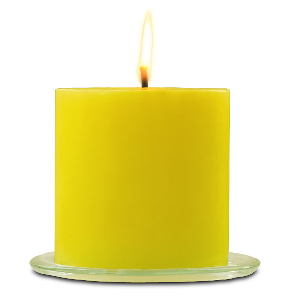 Outdoor Pillar Candle Citro...