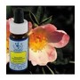 Wild Rose Essence 7.40 Milliliters