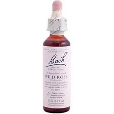 Wild Rose, 20 ml ( Multi-Pack)