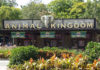 Viagem para Disney - Animal...