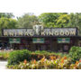 Viagem para Disney - Animal Kingdom