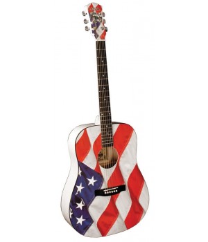 USA FLAG ACOUSTIC GUITAR