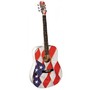 USA FLAG ACOUSTIC GUITAR