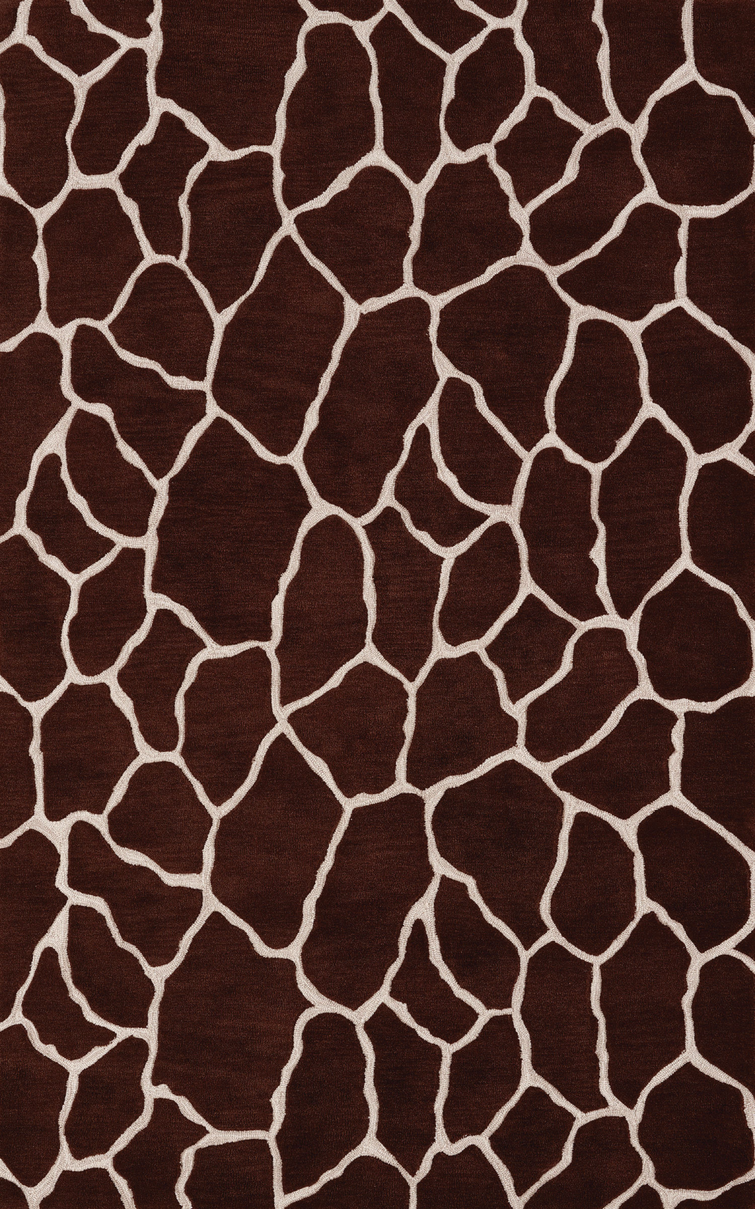 SAFARI, Lt. Brown - Chocola...