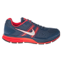 Nike Men's Air Pegasus  29 ...
