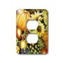 3dRose lsp_34873_6 Thanksgiving Harvest 2 Plug Outlet Cover