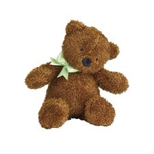 North American teddy bear