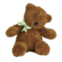 North American teddy bear