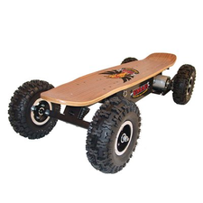 Big Toys Electric Skateboard - USA EM-800 Emad 800w