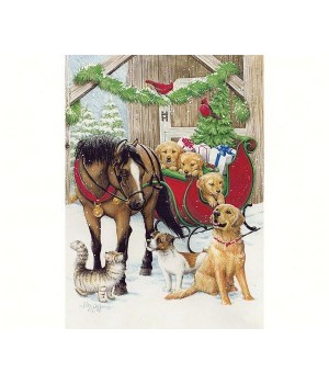 Warmth & Joy Boxed Christmas
