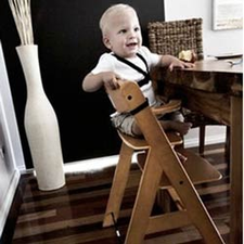 Hauck Alpha High Chair