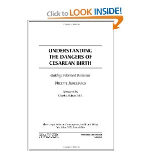 Amazon.com: Understanding t...