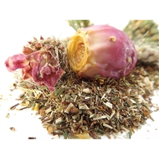 Prickly Pear Raw Rooibos Herbal Organic Tea