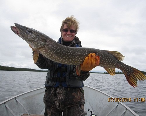 Guided Hunting Trips & Outf...