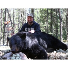 Bear hunting Canada, Bear hunting trips, Bear hunting in canada, Guided bear hunts