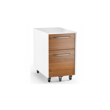 BDI 6307 Format Mobile File Pedestal