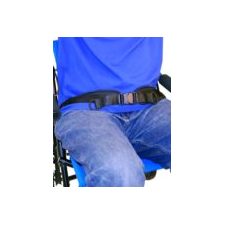 Where to Buy Transit Wheelchair Seatbelts