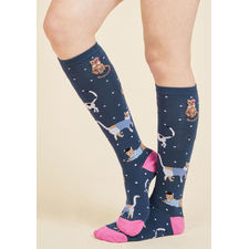 Tabby Days Are Here Again Socks